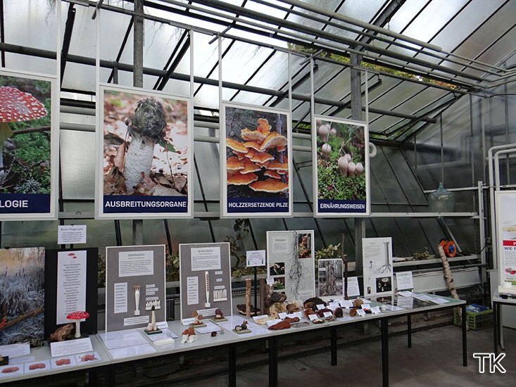 Dauerausstellung